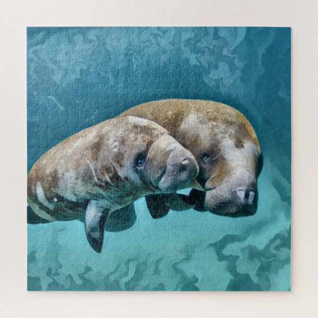 Manatees (Vertikal)