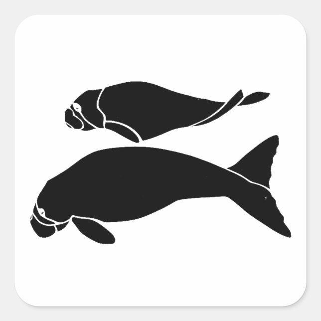 Manatees Quadratischer Aufkleber (Vorderseite)
