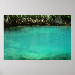 Manatex Spring Print Poster