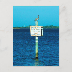 Manatezone Postcard Postkarte