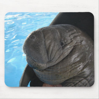 Manati SMP04 Mousepad