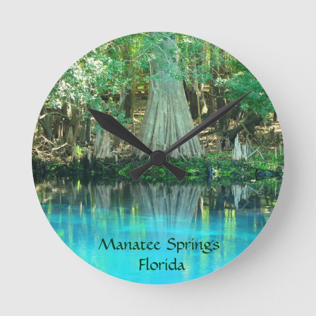 Manatis entspringt Florida-Wanduhr Runde Wanduhr (Vorderseite)