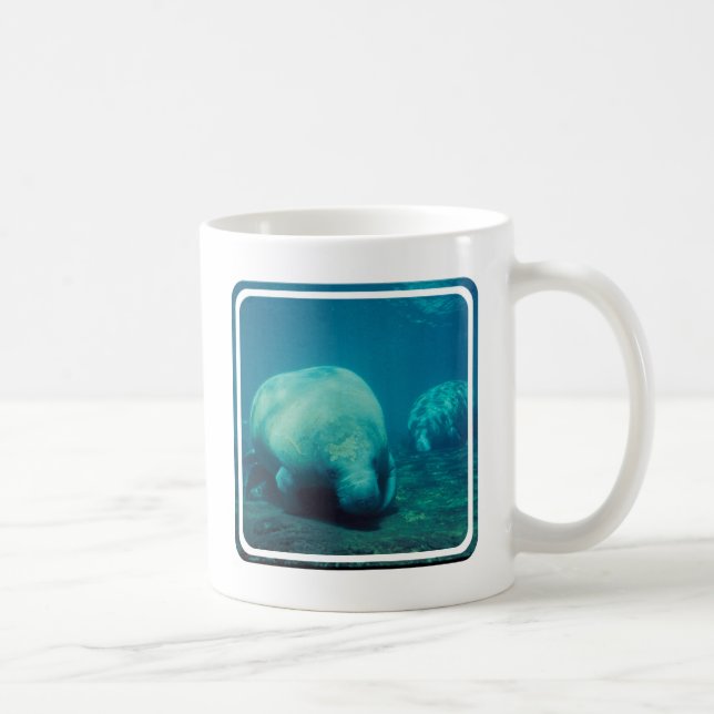 Manatis-Foto-Kaffee-Tasse Kaffeetasse (Rechts)