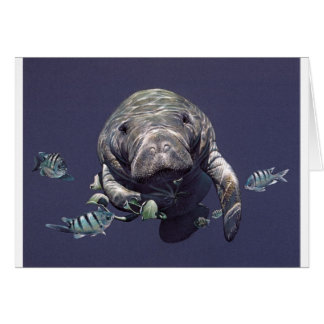 Manatis-Unterwasserwelt