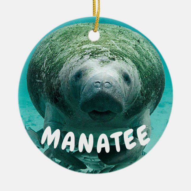 Manatisgesichts-Foto Keramik Ornament (Vorne)