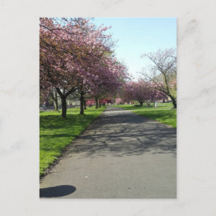 Manchester im Frühjahr Postkarte
