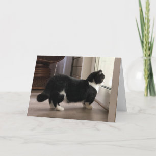 Manchester manque de carte