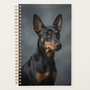 Manchester Terrier 2027 Planer