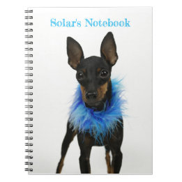 Manchester Terrier Carnet bleu