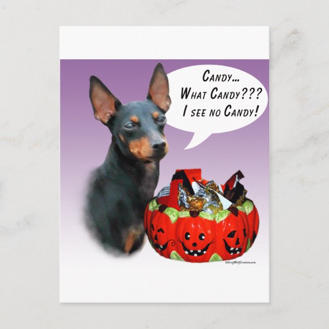 Manchester Terrier Halloween Candy Postkarte (Vorderseite)
