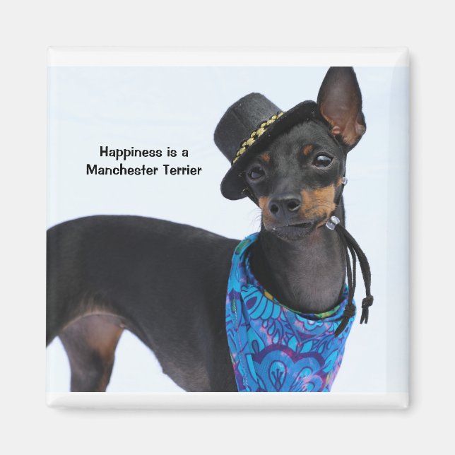 Manchester Terrier Happiness Magnet (Vorne)