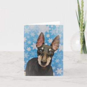 Manchester Terrier Holiday Card Karte