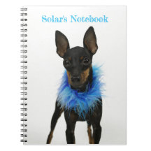 Manchester Terrier Notebook Blue