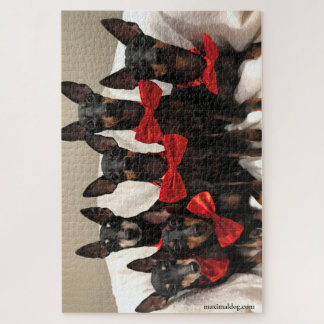 Manchester Terrier Puzzle - 1.000 Stück