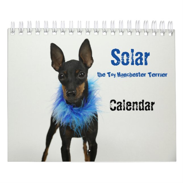 Manchester Terrier Small Calendar Kalender (Titelbild)