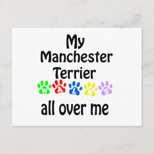 Manchester Terrier Walks Design Postkarte