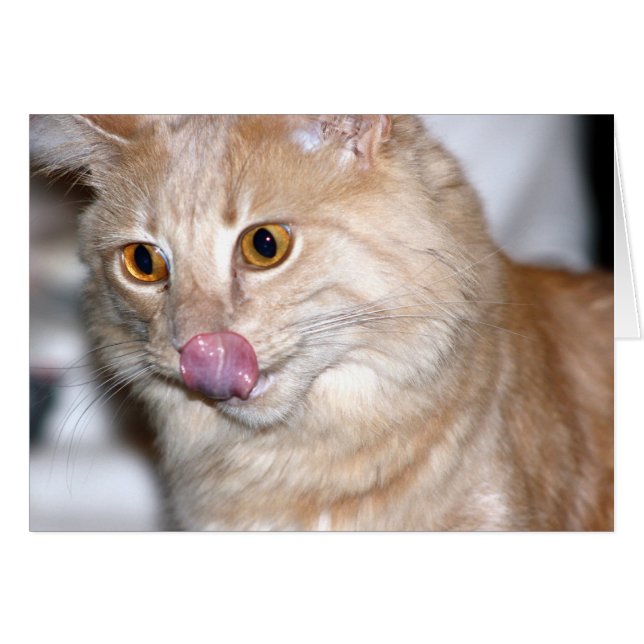 Manchmal versuche ich normal zu sein (Vorderseite (Horizontal))