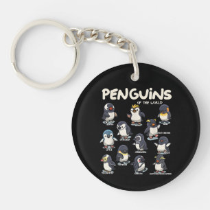 Manchot Pingouins Animaux du Monde Amour des Manch