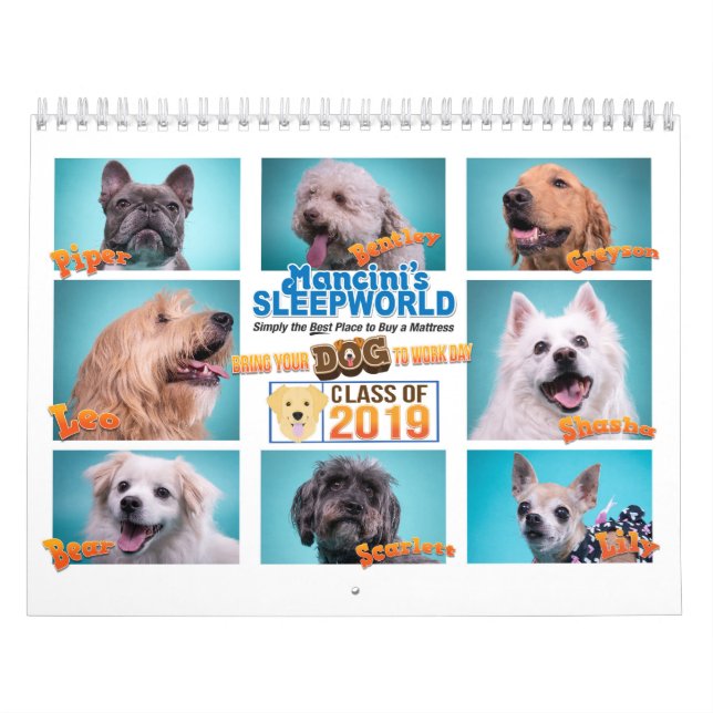 Mancinis Sleepworld 2020 - Kalender (Titelbild)