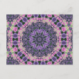 Mandala aus rosa und violetten Blumen Postkarte