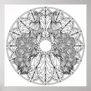 Mandala-Plakat-Kunst-Pfau-Vögel der Farbesich Poster
