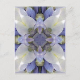 Mandala Serie - Fuji 1 Postkarte