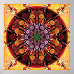 Mandalas für Zeiten des Plakats des Übergangs-6 Poster