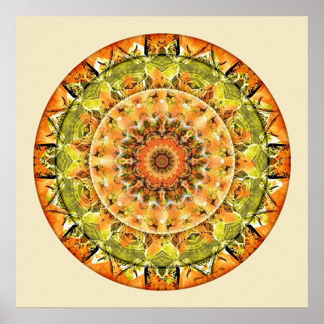 Mandalas of Deep Trust, No. 10 Poster (Vorne)