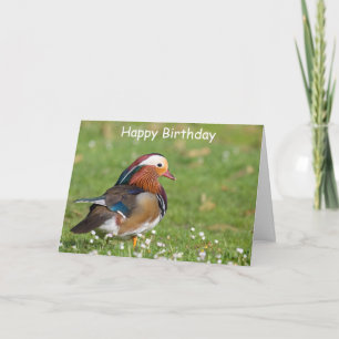 Mandarin Canard Carte d'anniversaire
