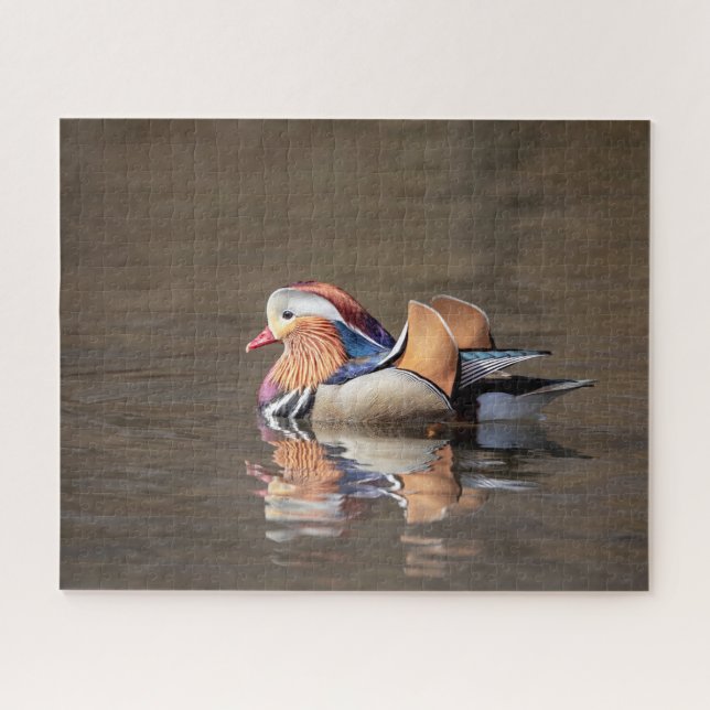 Mandarin Duck (Horizontal)