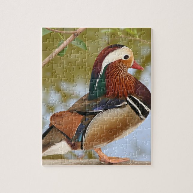 Mandarin Duck (Vertikal)