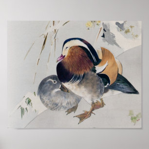 Mandarin Duck Couple, Watanabe Seitei Poster