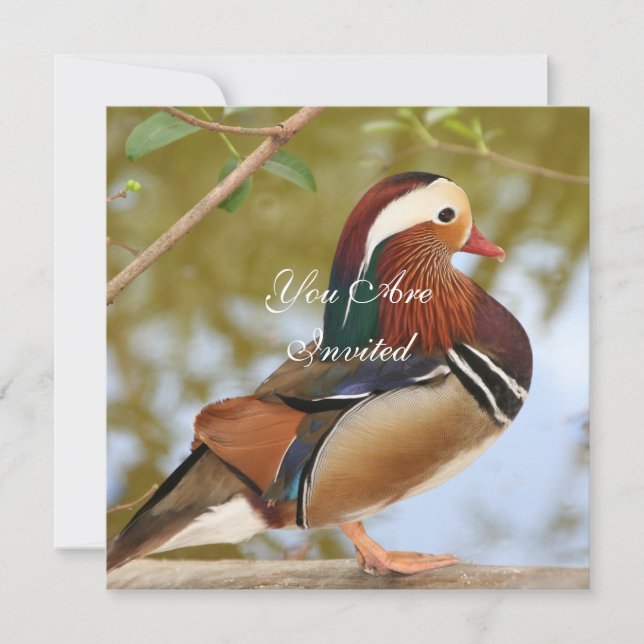 Mandarin Duck Einladung (Vorderseite)