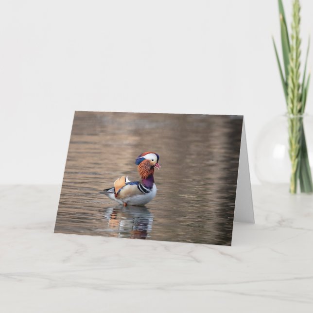 Mandarin Duck Karte (Vorderseite)
