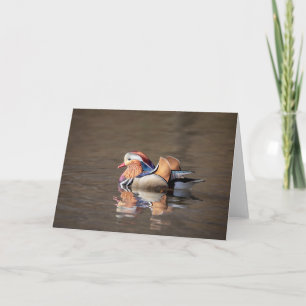 Mandarin Duck Karte