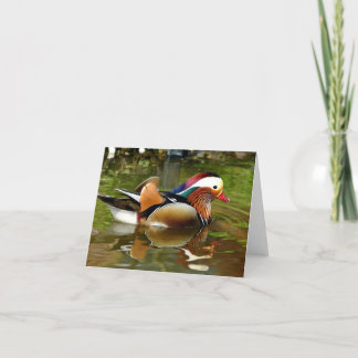 Mandarin Duck Karte
