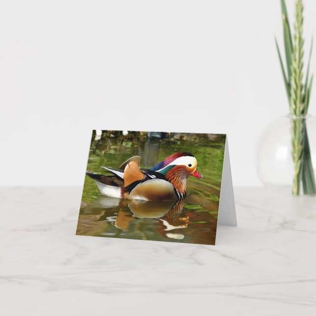 Mandarin Duck Karte (Vorderseite)