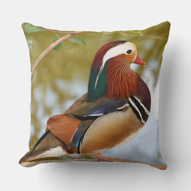 Mandarin Duck Kissen (Vorderseite)