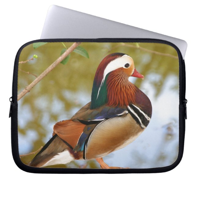 Mandarin Duck Laptopschutzhülle (Vorderseite)