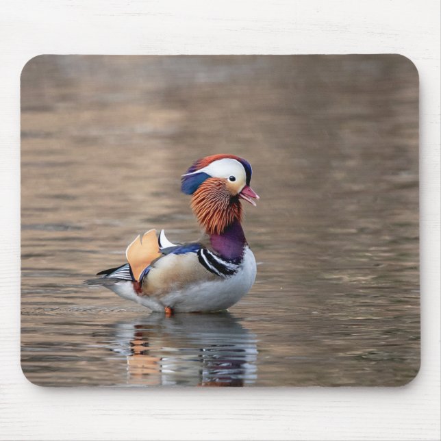 Mandarin Duck Mousepad (Vorne)