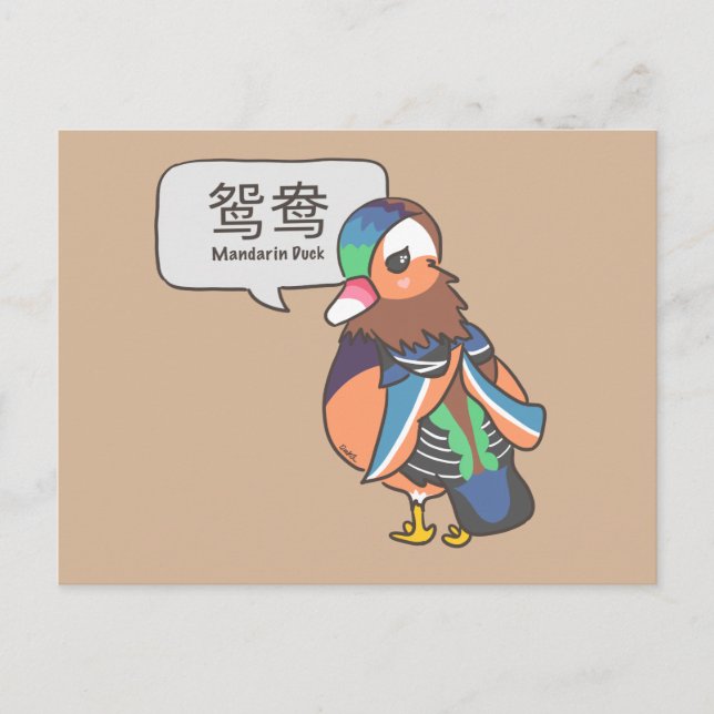 Mandarin Duck Postkarte (Vorderseite)