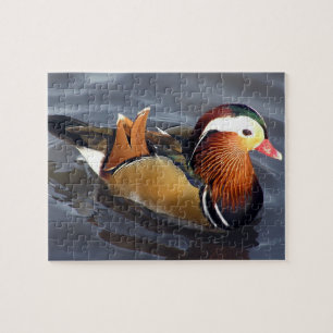 Mandarin Duck Puzzle
