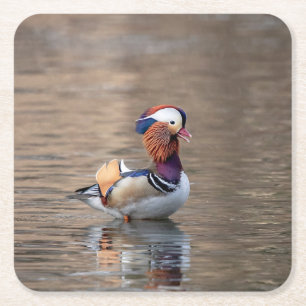 Mandarin Duck Rechteckiger Pappuntersetzer