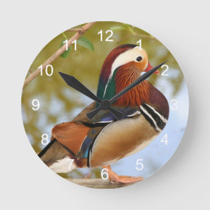 Mandarin Duck Runde Wanduhr