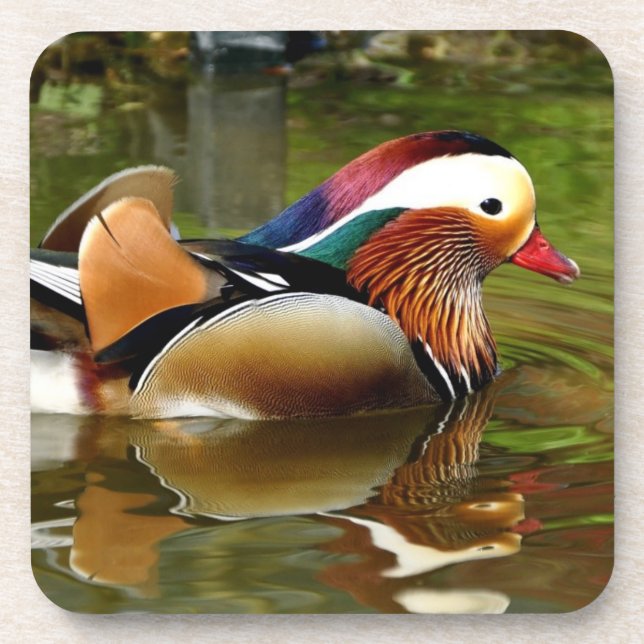 Mandarin Duck Untersetzer (Vorderseite)