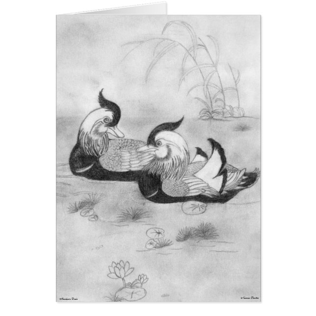 Mandarin Ducks Card (Vorne)