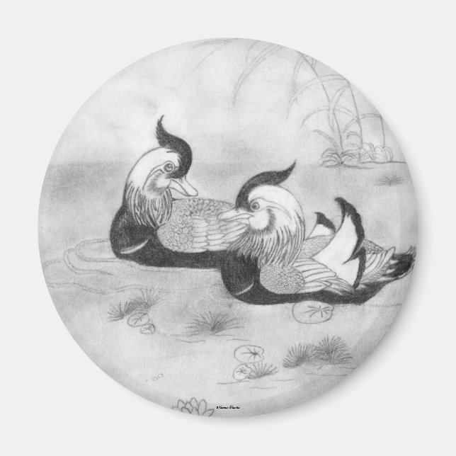 Mandarin Ducks Magnet (Vorne)