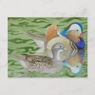 Mandarin-Enten am See Postkarte