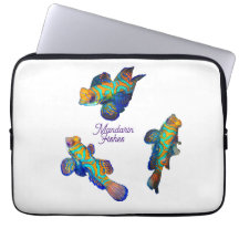 Mandarin-Fische