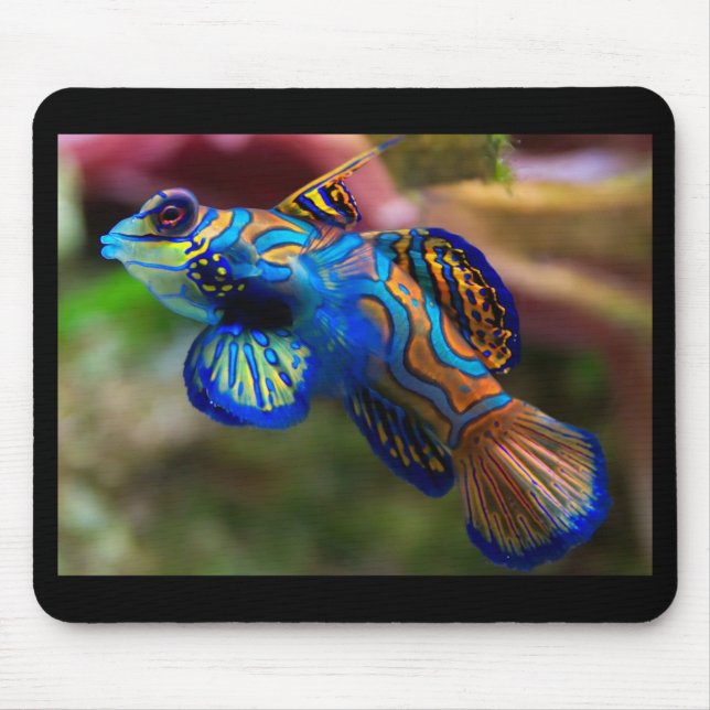 Mandarin Fish Mousepad (Vorne)